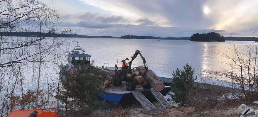 Trädfällare Saltsjö Forestry Trädfällning Stockholms Skärgård