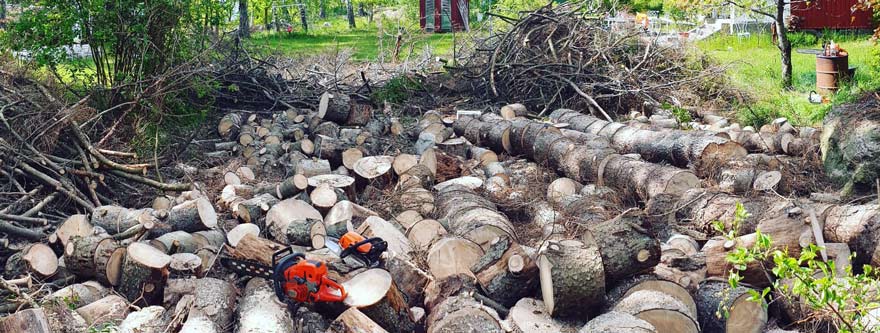 Trädf kapning flisning Saltsjö Forestry Trädfällning Nacka