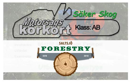 Utbildning Saltsjö Forestry motorsågskörkort Stockholm