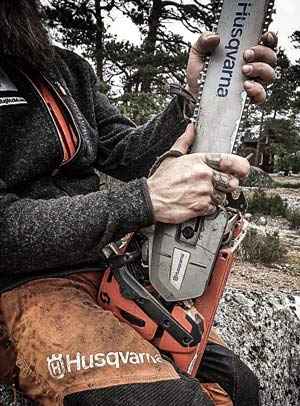 Trädfällare Saltsjö Forestry Trädfällning Stockholms Skärgård