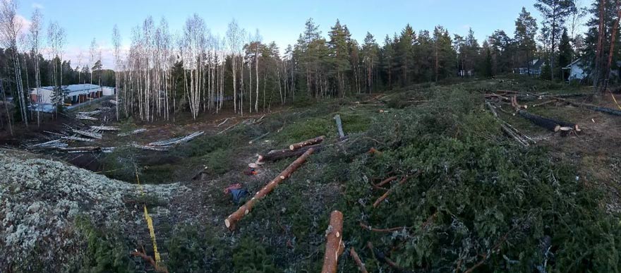 Trädfällare Saltsjö Forestry tomtröjning träd Nacka